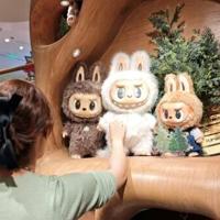 Shanghai police bust gang selling counterfeit Labubu toys | National